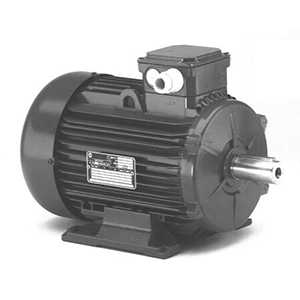 Motori Elettrici
