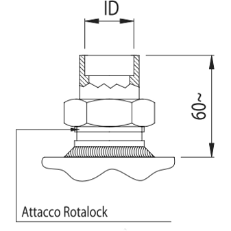 Attacco rotalock